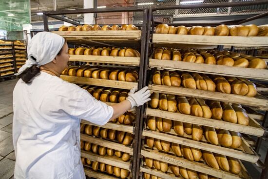 Russia Food Industry