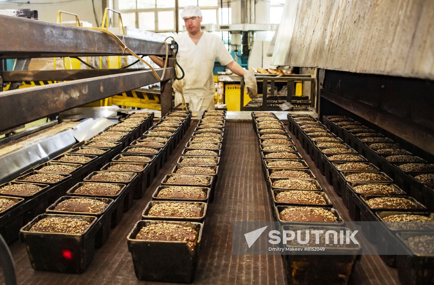 Russia Food Industry