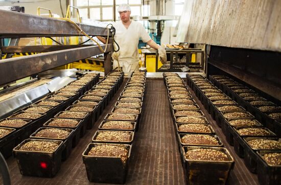Russia Food Industry