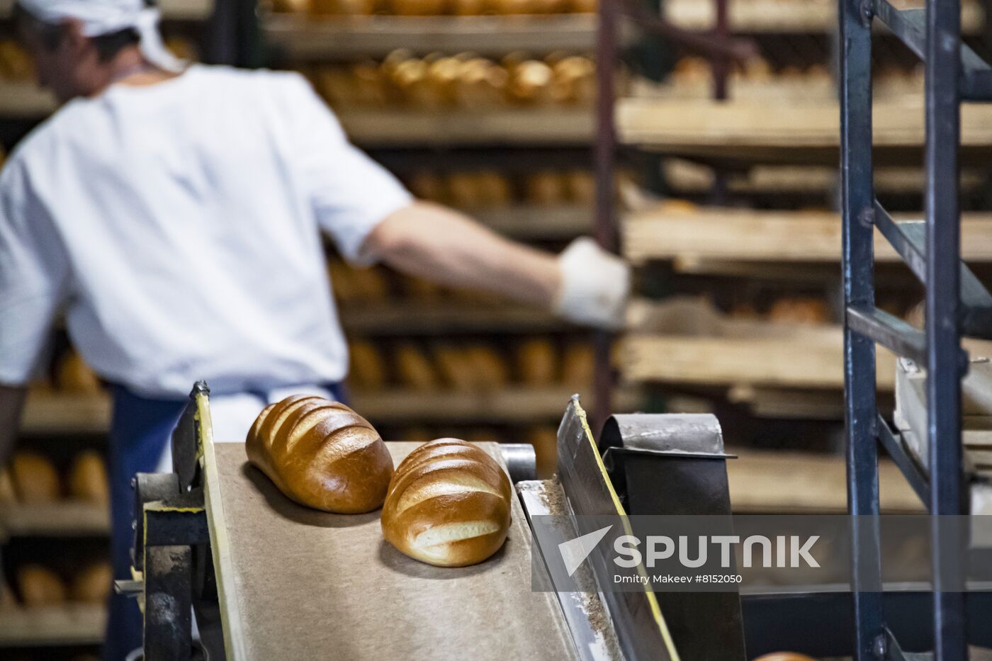 Russia Food Industry