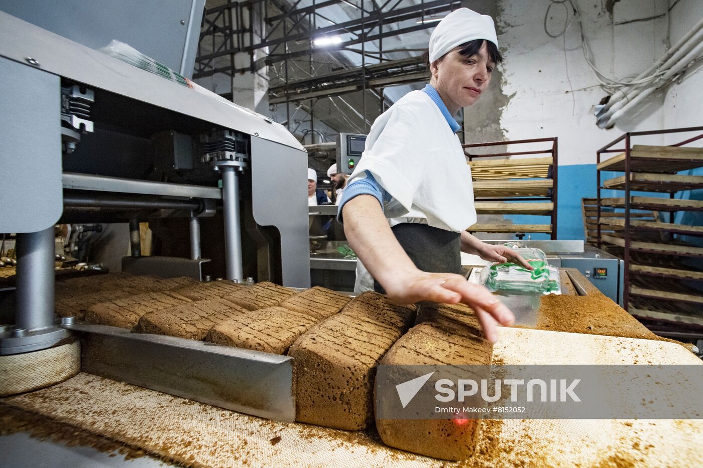 Russia Food Industry