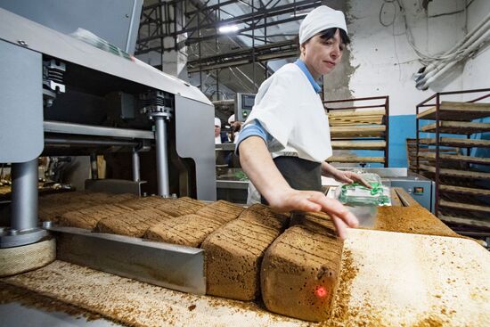 Russia Food Industry