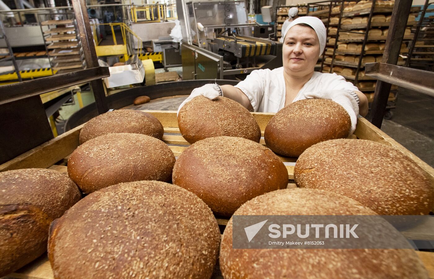 Russia Food Industry
