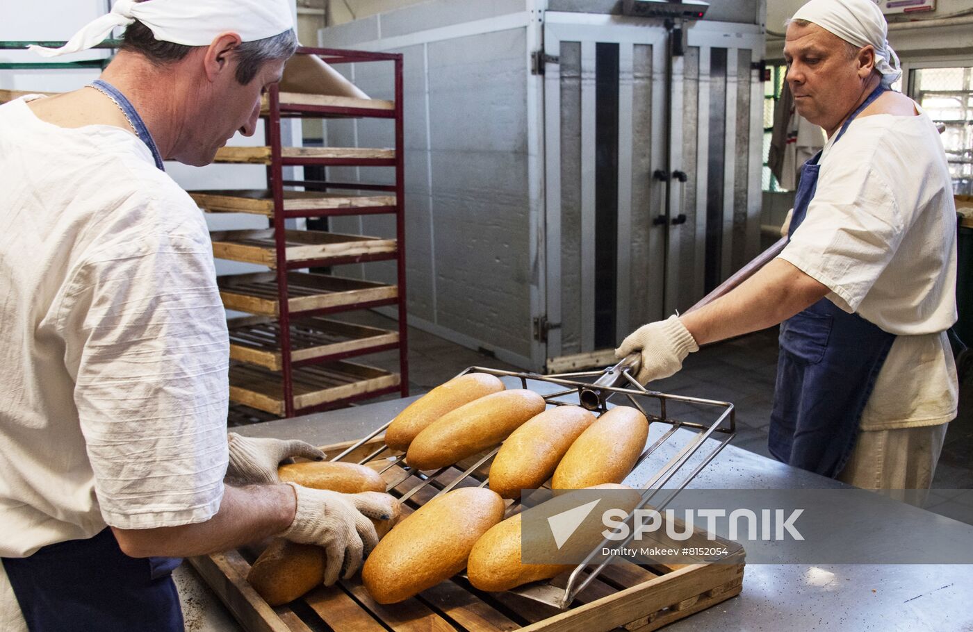 Russia Food Industry