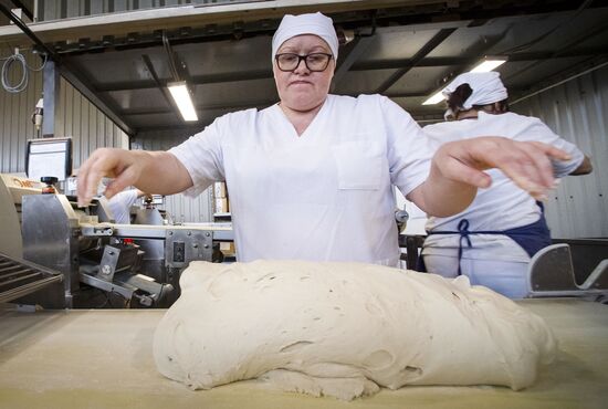Russia Food Industry