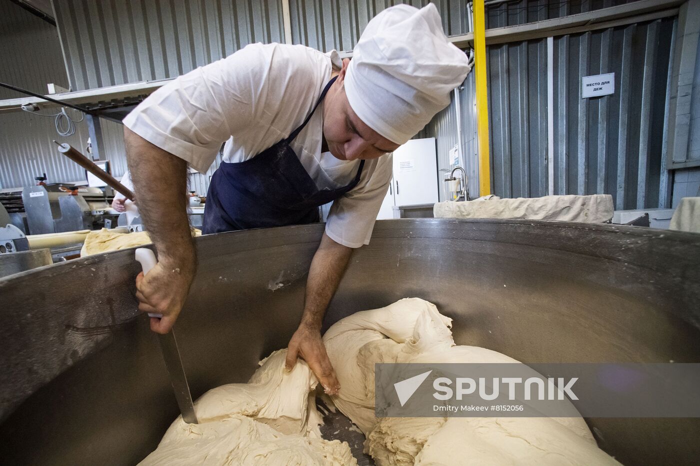 Russia Food Industry