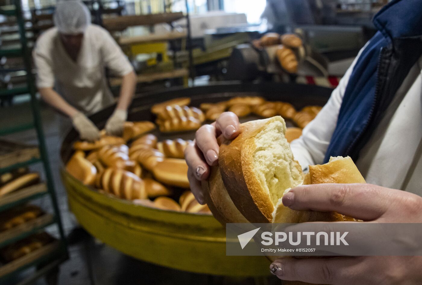 Russia Food Industry
