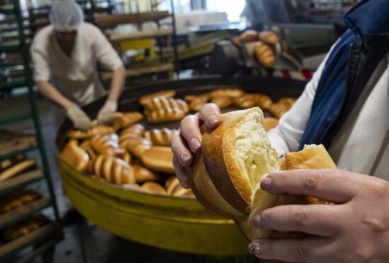 Russia Food Industry