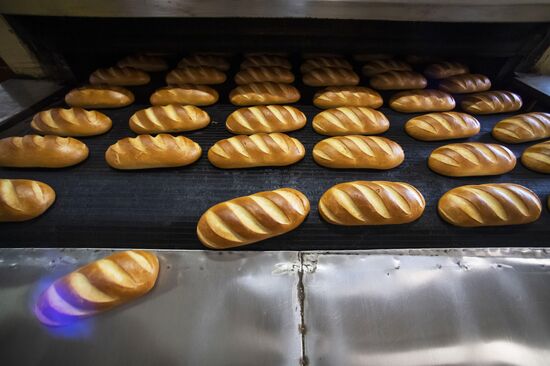 Russia Food Industry