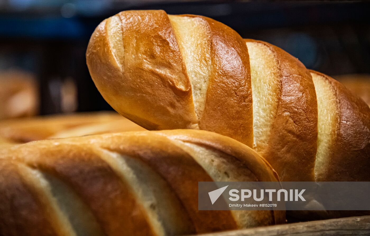 Russia Food Industry