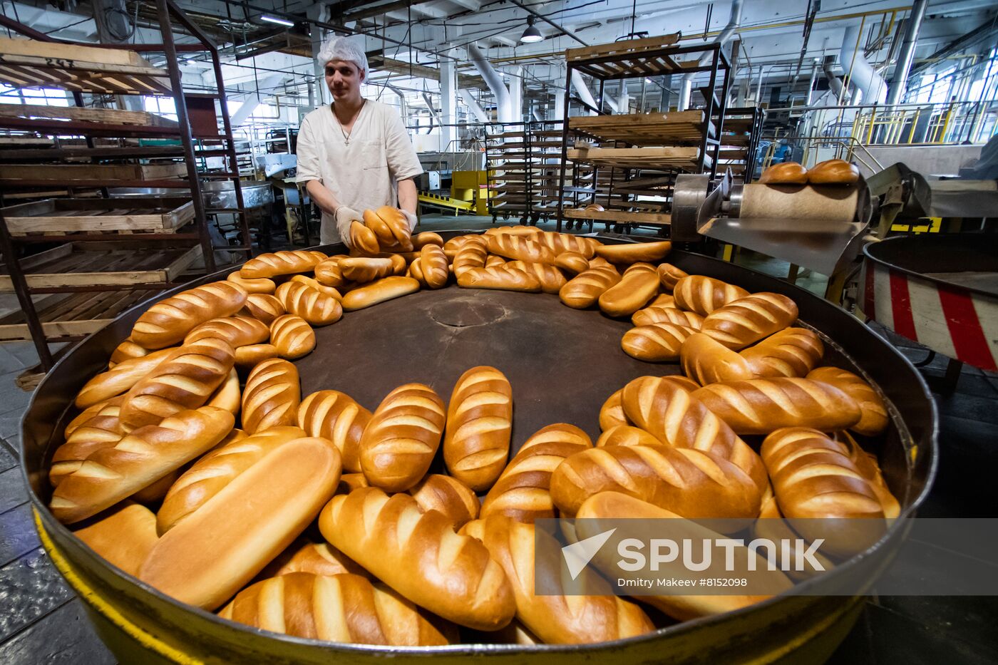 Russia Food Industry