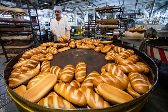 Russia Food Industry