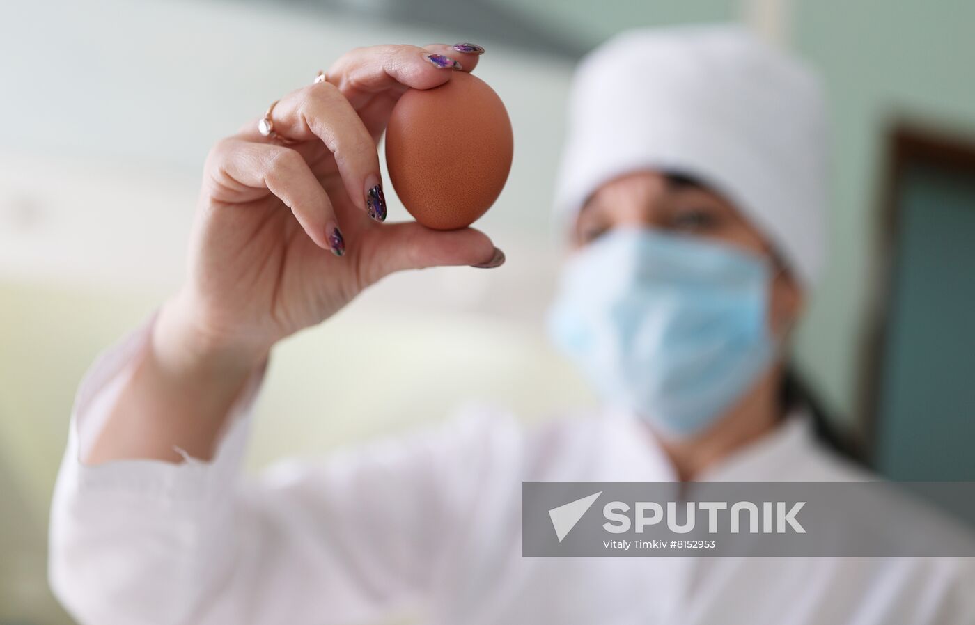 Labinsky Pedigree Poultry Breeding Plant in Krasnodar Territory