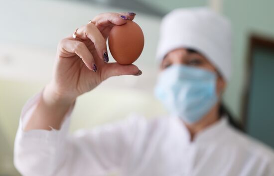 Labinsky Pedigree Poultry Breeding Plant in Krasnodar Territory