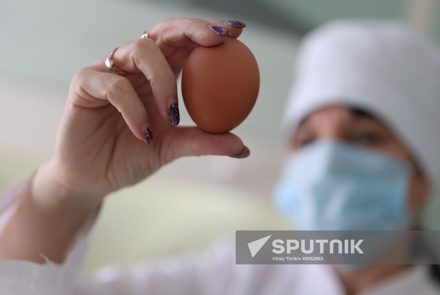 Russia Food Industry