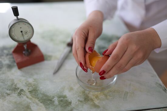 Russia Food Industry