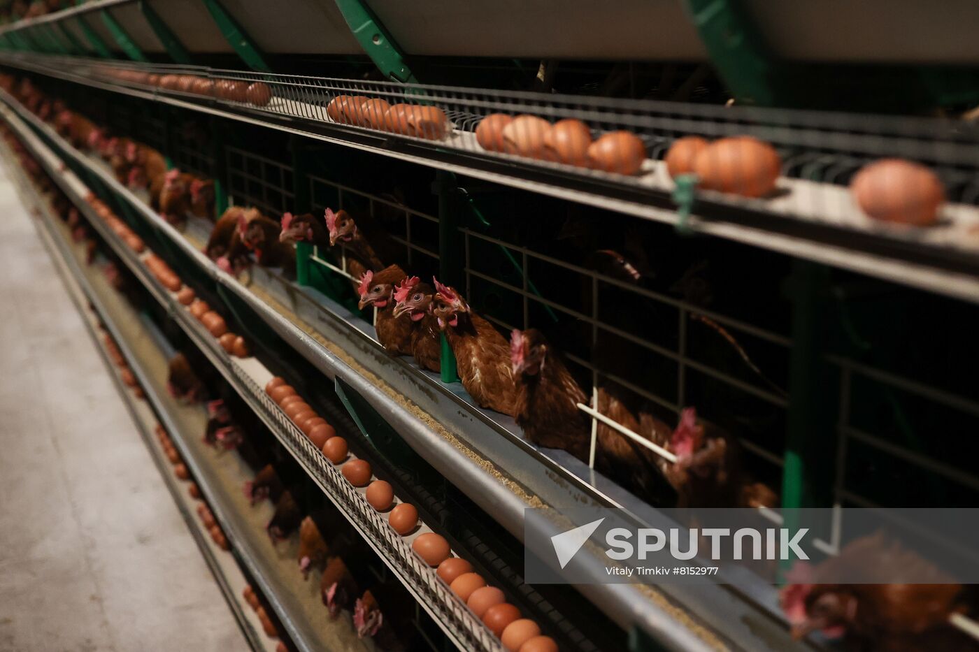 Russia Food Production