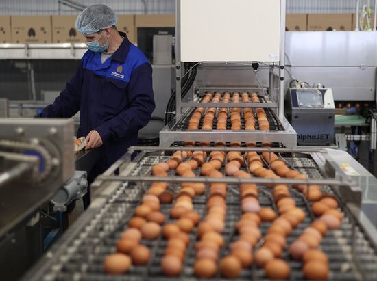 Russia Food Production