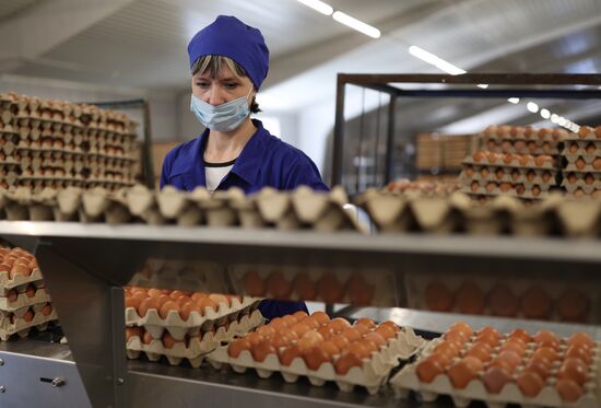 Russia Food Production