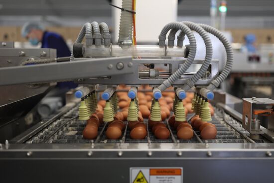 Russia Food Production