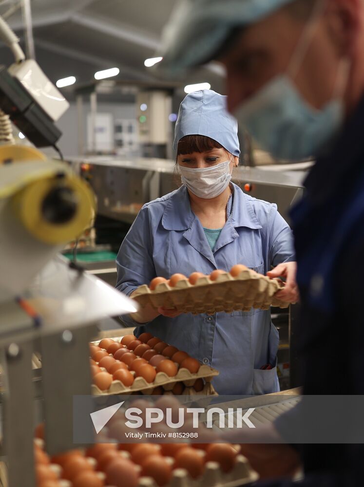 Russia Food Production