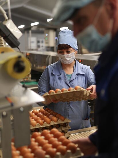 Russia Food Production