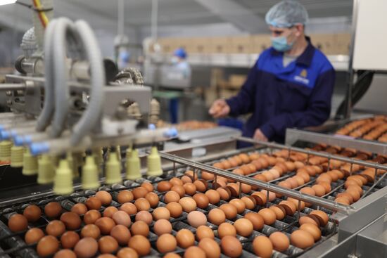 Russia Food Production