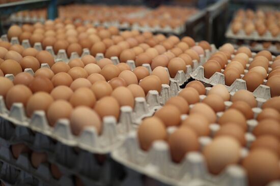 Russia Food Production