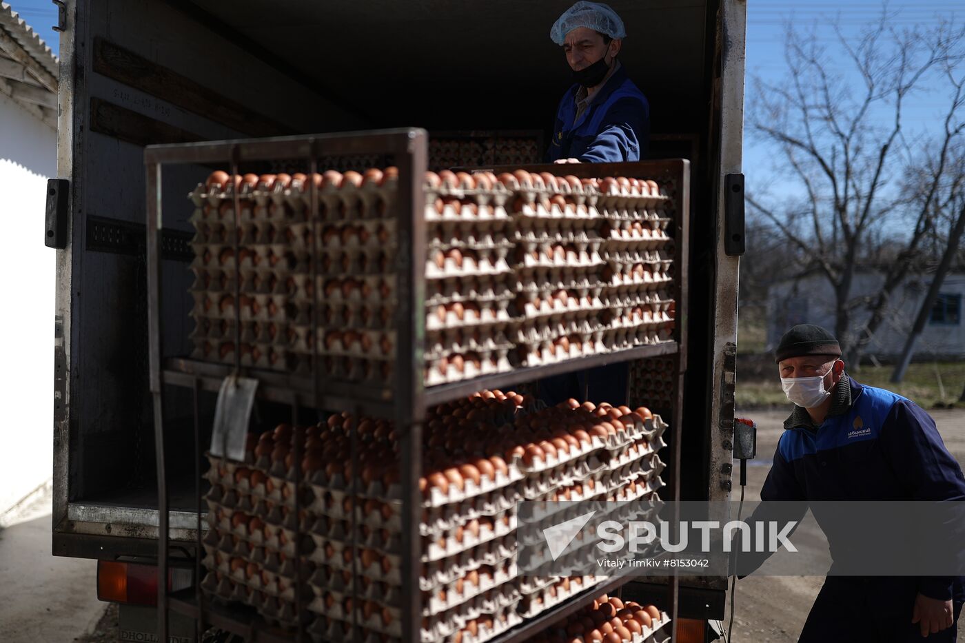 Labinsky Pedigree Poultry Breeding Plant in Krasnodar Territory