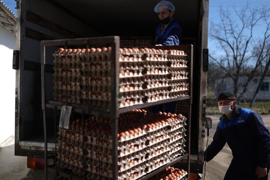 Labinsky Pedigree Poultry Breeding Plant in Krasnodar Territory