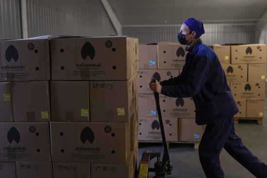 Labinsky Pedigree Poultry Breeding Plant in Krasnodar Territory