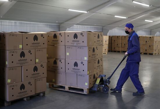 Labinsky Pedigree Poultry Breeding Plant in Krasnodar Territory