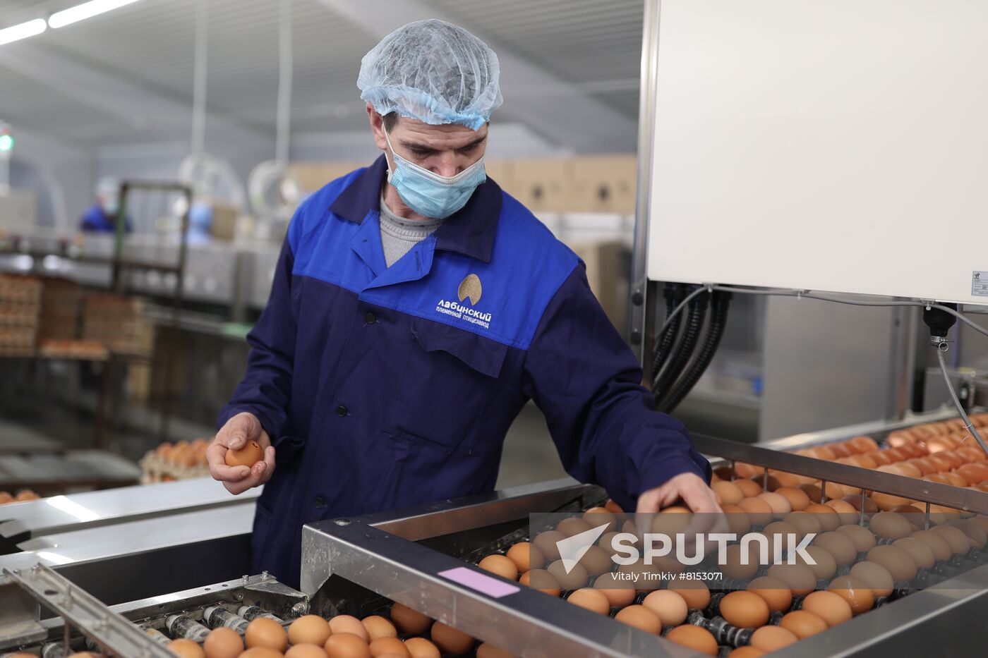 Labinsky Pedigree Poultry Breeding Plant in Krasnodar Territory