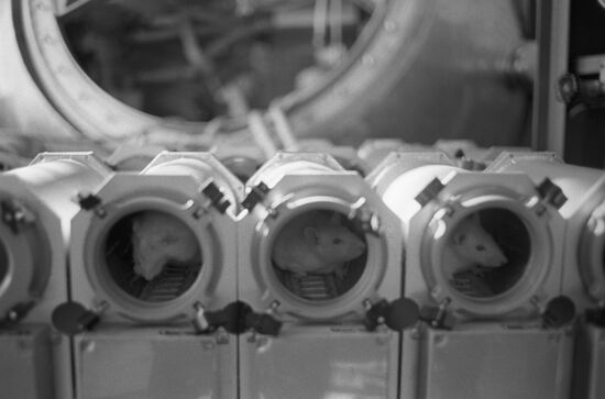 Institute of Biomedical Problems, USSR Ministry of Health