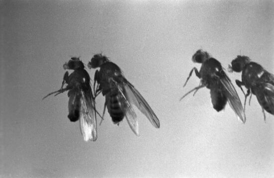 Institute of Biomedical Problems, USSR Ministry of Health