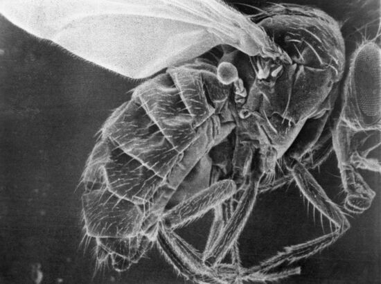 Institute of Biomedical Problems, USSR Ministry of Health