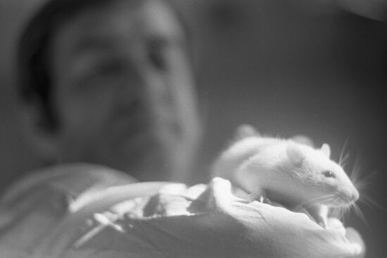 Institute of Biomedical Problems, USSR Ministry of Health