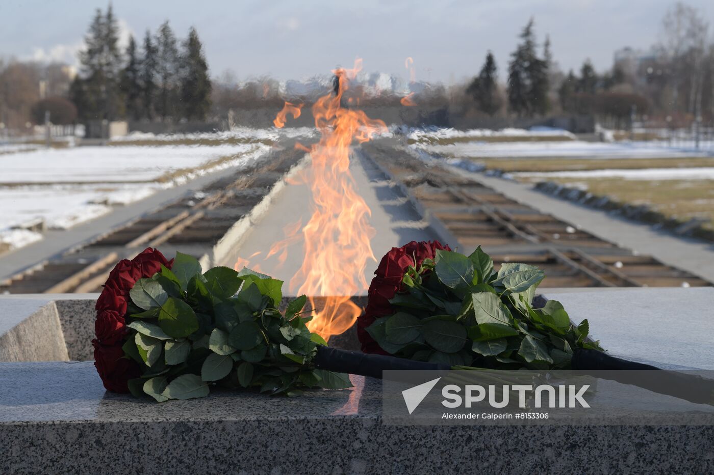 Russia Flowers Laying