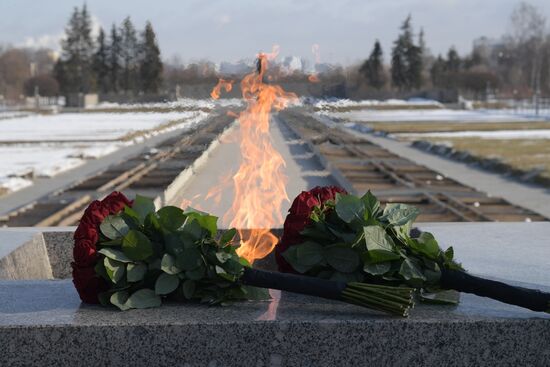 Russia Flowers Laying