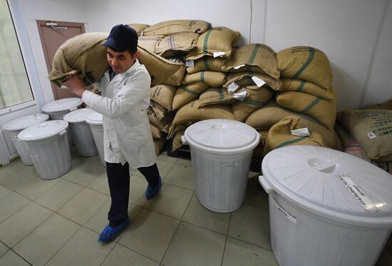 Russia Food Industry