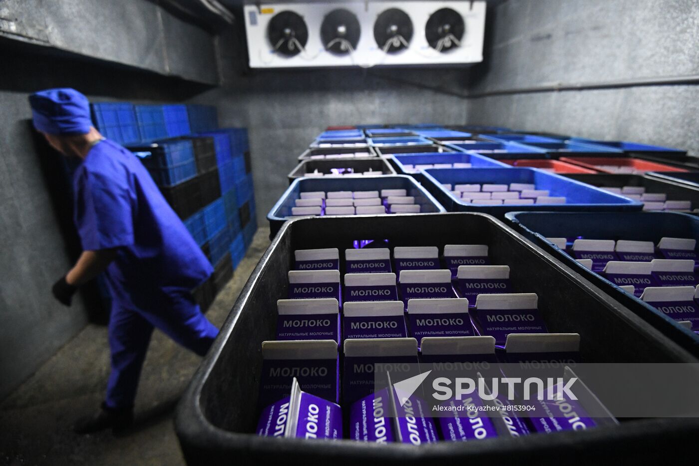 Russia Food Industry