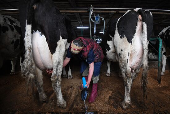 Russia Food Industry