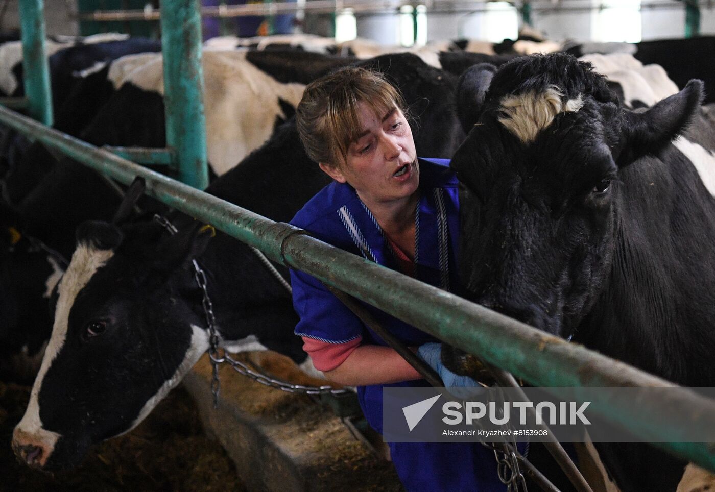 Russia Food Industry