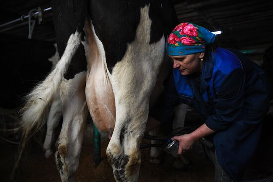 Russia Food Industry