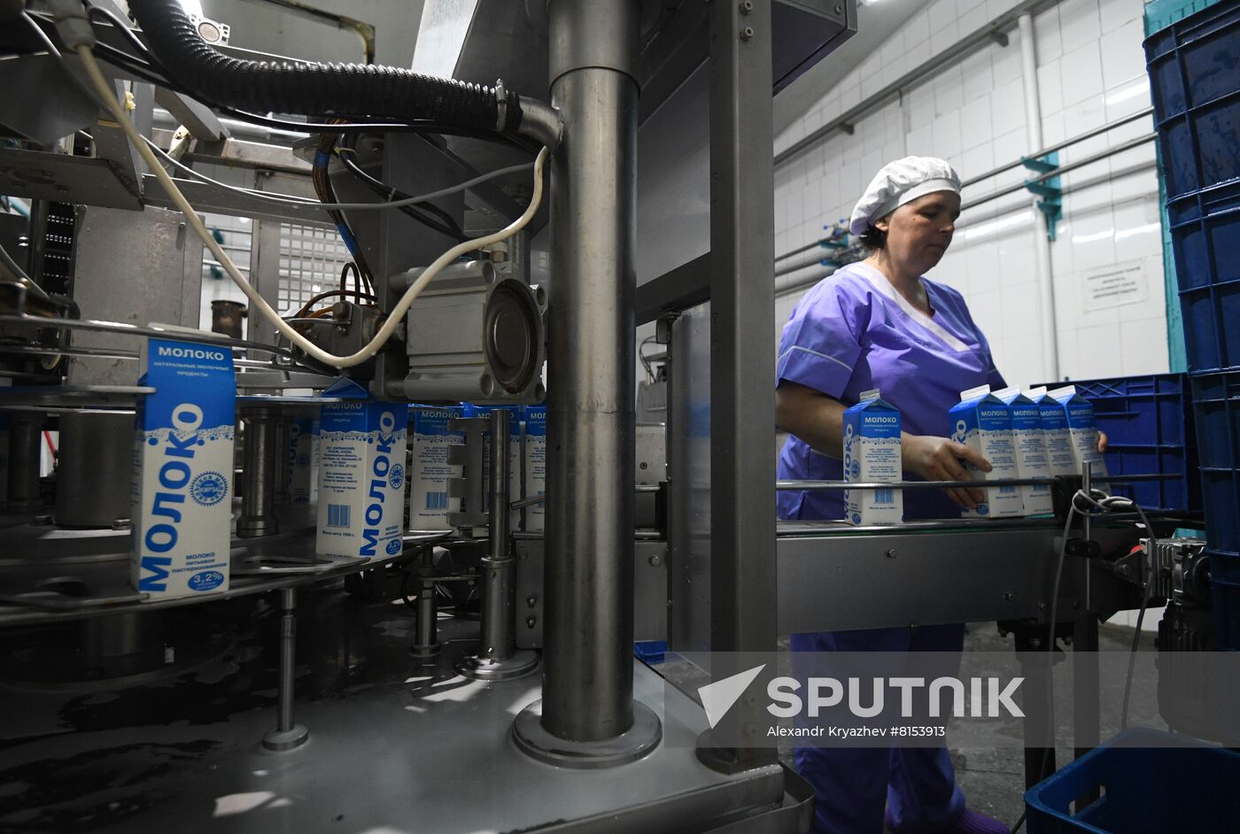 Russia Food Industry