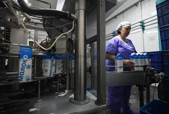 Russia Food Industry