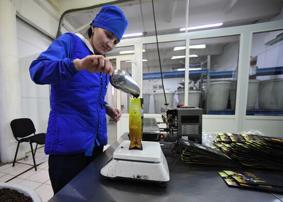 Russia Food Industry