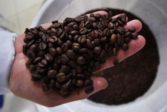 Russia Food Industry