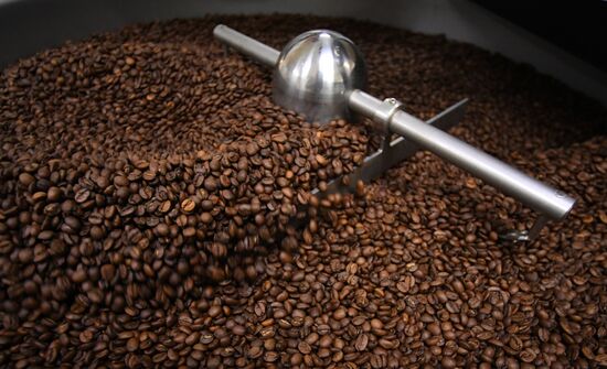 Russia Food Industry