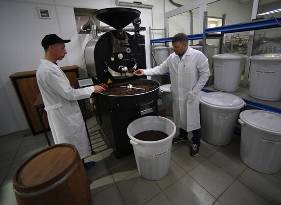 Russia Food Industry